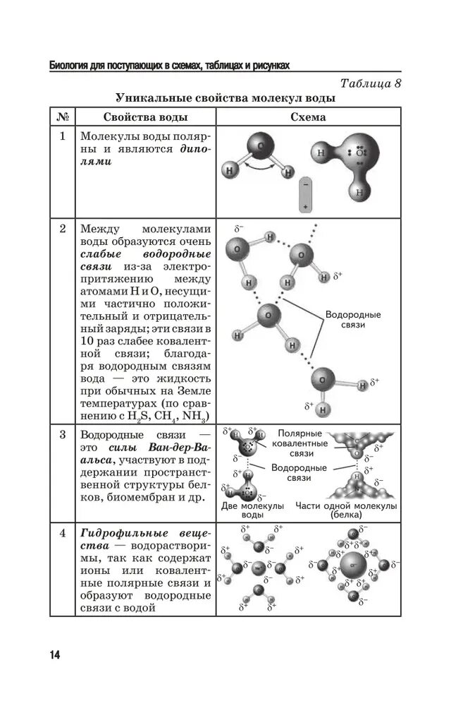 Биология в таблицах и схемах бесплатно Виктория плюс Биология в таблицах и схемах