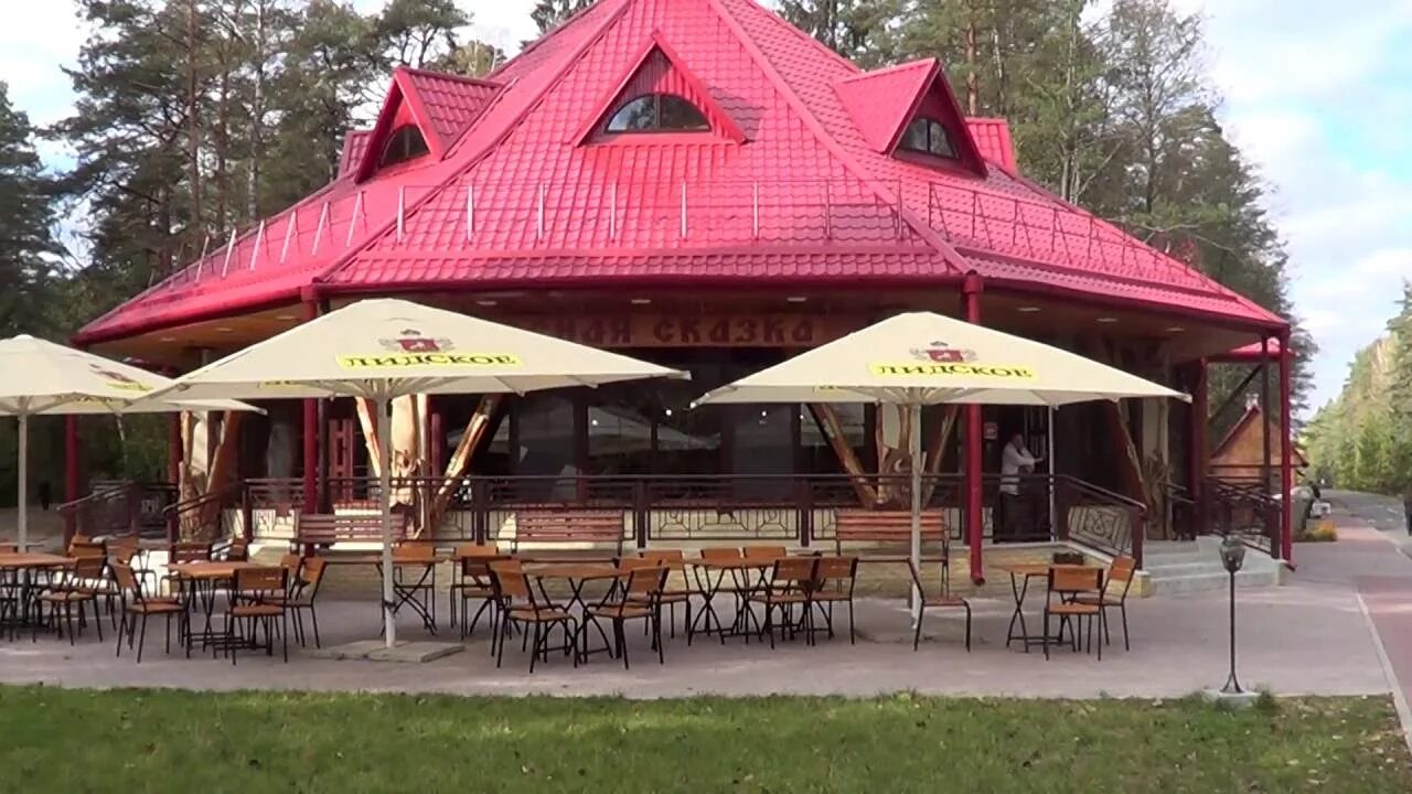 Рестораны пуща. Беловежская пуща кафе лесная сказка. беловежская пуща кафе. ресторан в беловежской пуще. ресторан сказка в беловежской пуще.
