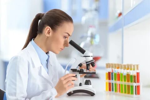 Провела исследования и различные
