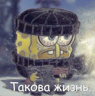 Вокруг таков