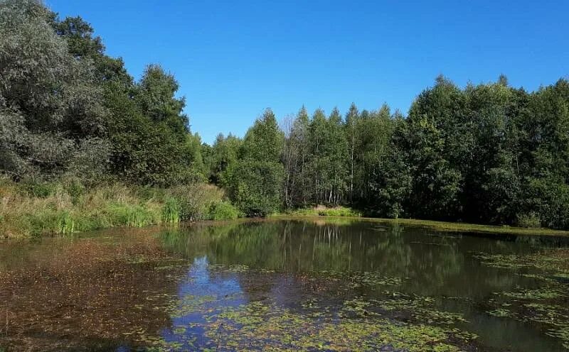 Участок тарусский. Тарусский район Калужской области. Исканское Тарусский район. Тарусский район Калужской области д Исканское. Деревня Игнатовское Тарусский район.