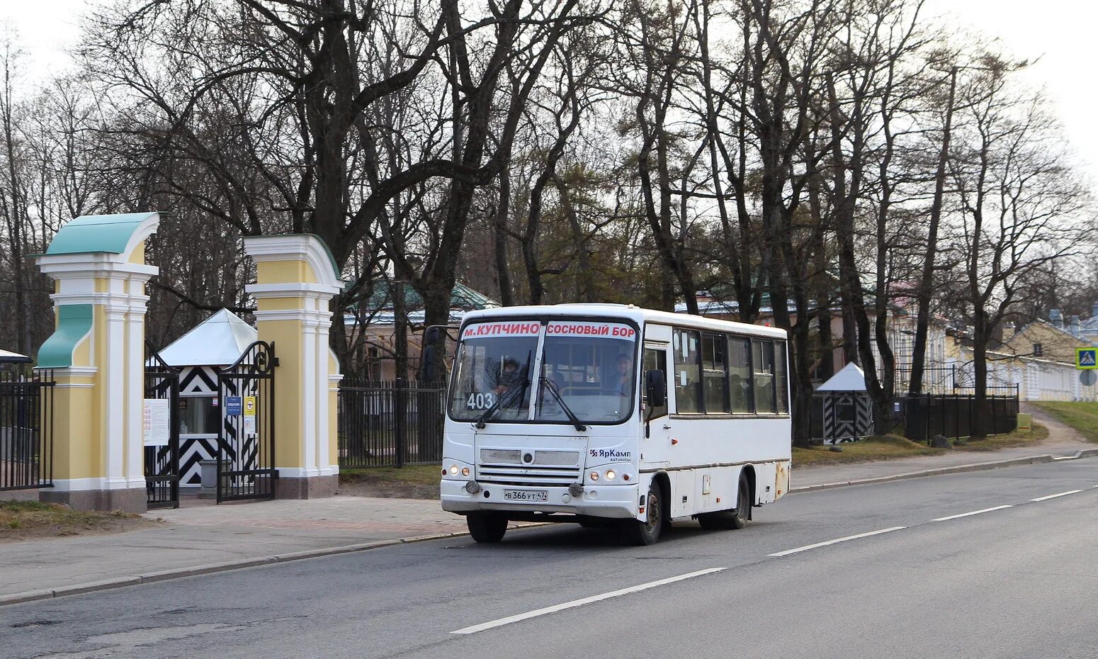Автобусы через ленинградскую. Автобусы лен обл. автобус ленобласть. маршрутка 366. волга паз автобус.