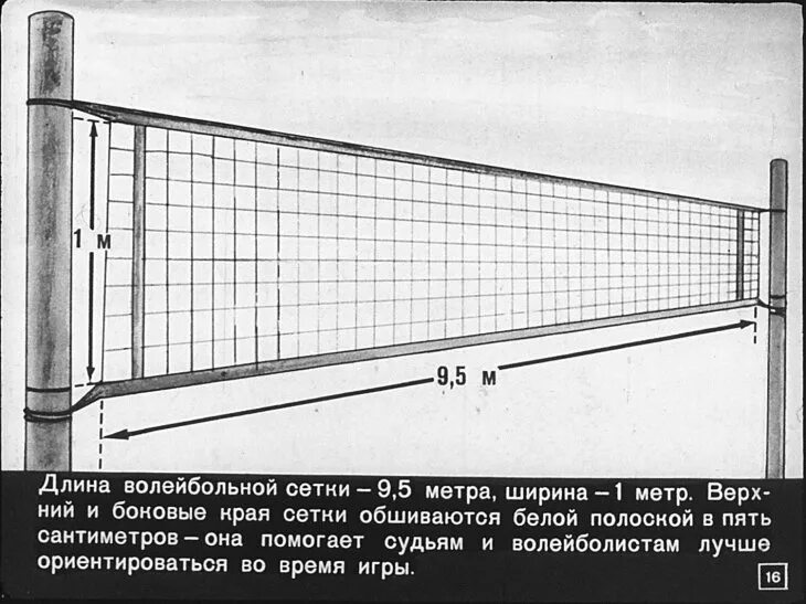 Высота волейбольной сетки. Ширина сетки в волейболе. Размер сетки для волейбола. Ширина волейбольной сетки. Волейбол высота сетки для мужчин и женщин