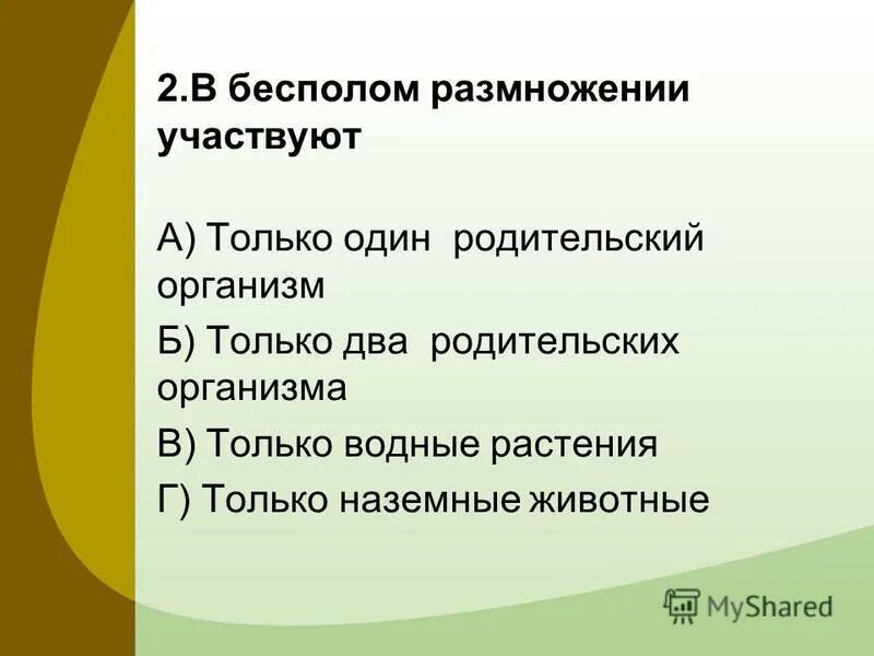 Жизнь на земле происходит благодаря размножению организмов