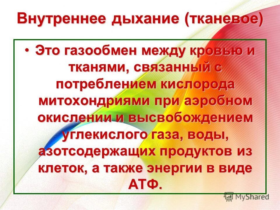 Особенности внутреннего дыхания. Внутреннее дыхание. Газообмен внутреннее дыхание. Внутренне дыхание этот. Внешнее и внутреннее дыхание.