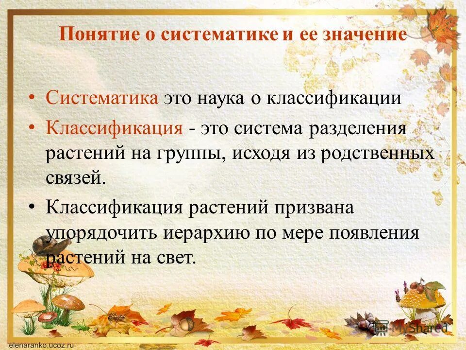 Основы систематики растений. Основные таксоны систематики растений. Основы систематики растений. Царство растений 6 класс. Понятие о систематике.