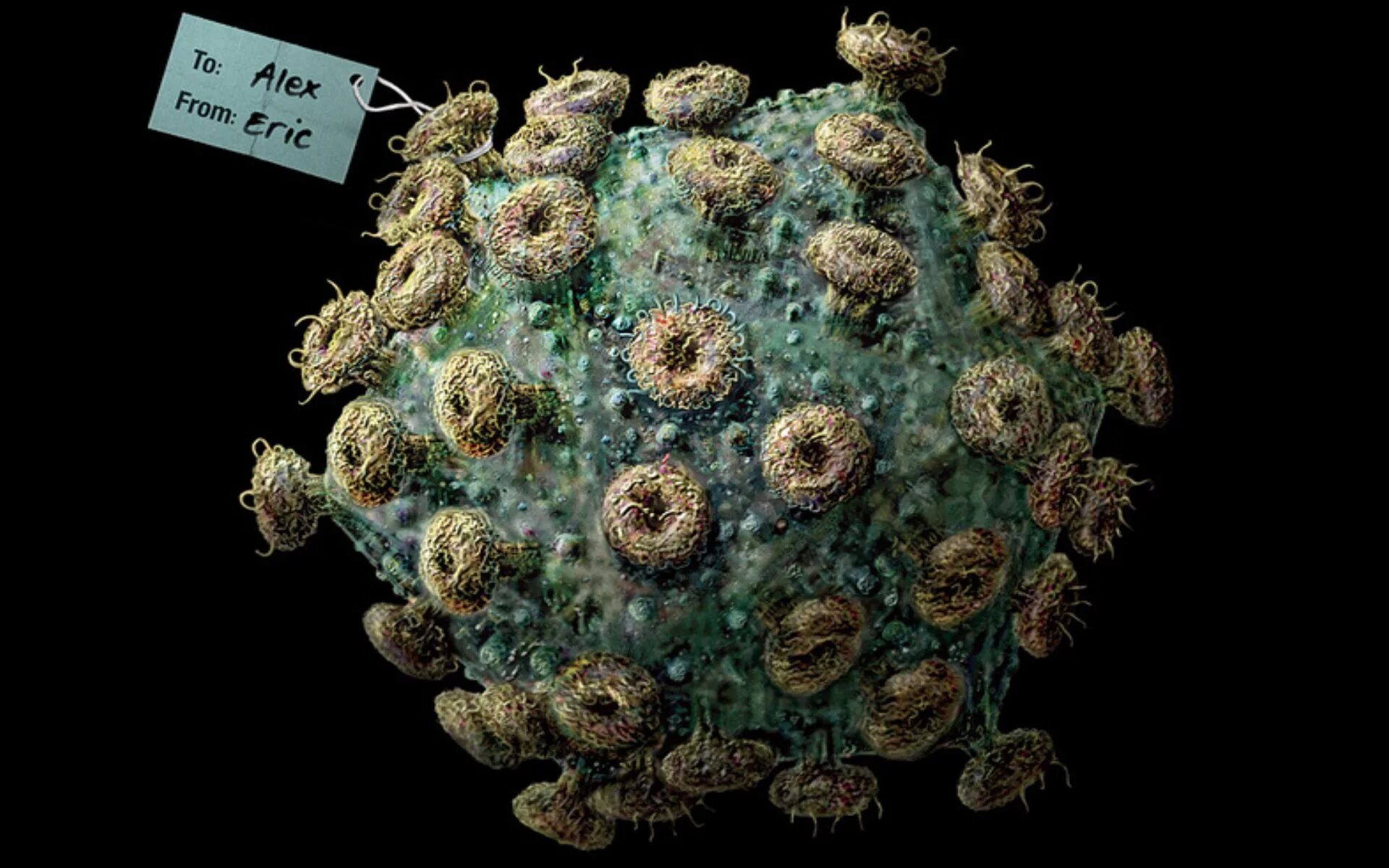 Вирус СПИДА под микроскопом. Вирус ВИЧ под микроскопом. Вирионы ВИЧ под микроскопом. Вирус иммунодефицита под микроскопом.