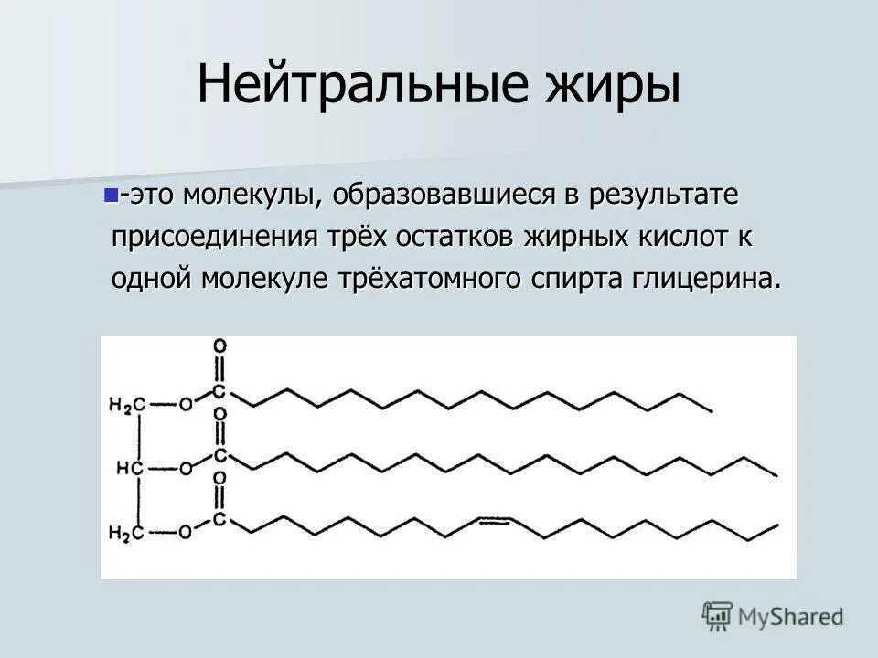 Нейтральный жир большом количестве. Жир нейтральный. Строение нейтральных жиров. Липиды нейтральные жиры. Нейтральные жиры строение.