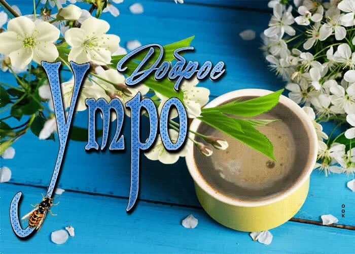 Доброе утро 12 февраля 2024. Открытки с добрым утром весенние. открытка с добрым утром женщине. с добрым утром с добрым днем.
