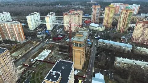 Чайка железнодорожный