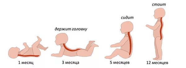 Во сколько месяцев ребенок сидит самостоятельно девочки. Когда ребенок начинаетдеожать голову. когда ребенок начинает держать голову. когда ребёнок начинает держать головку. когда ребёнок начинает держать голову самостоятельно.