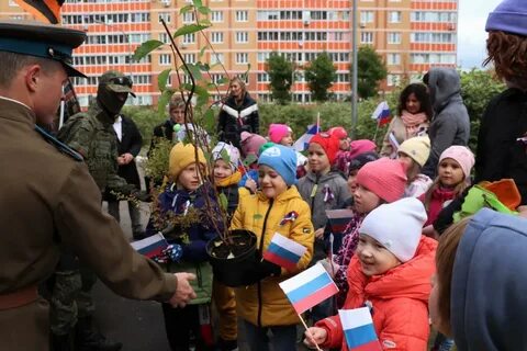 Краснознаменск погода сегодня