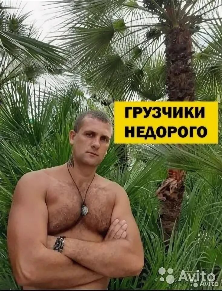 Мигпогруз. Грузчики хабаровск. Мигпогруз. Мигпогруз. Мигпогруз.
