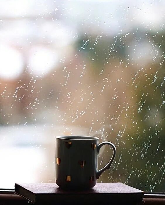 доброе утро дождь за окном. доброе утро дождь. дождичек утром. дождичек утром. дождливое утро.