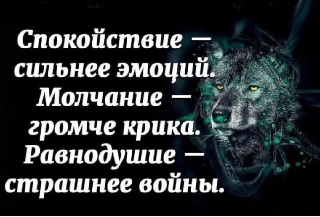 Покой цитаты. Спокойствие цитаты. афоризмы про спокойствие. фразы про спокойствие. спокойствие цитаты афоризмы.