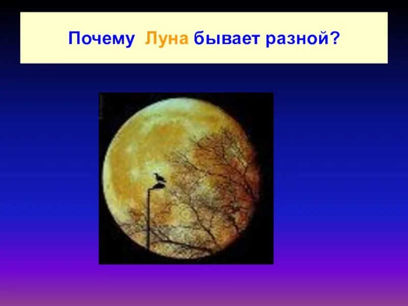 Почему на луне не живут люди 1. Почему Луна разная. Луна бывает разной. Почему Луна бывает желтой. Почему Луна бывает разного цвета.