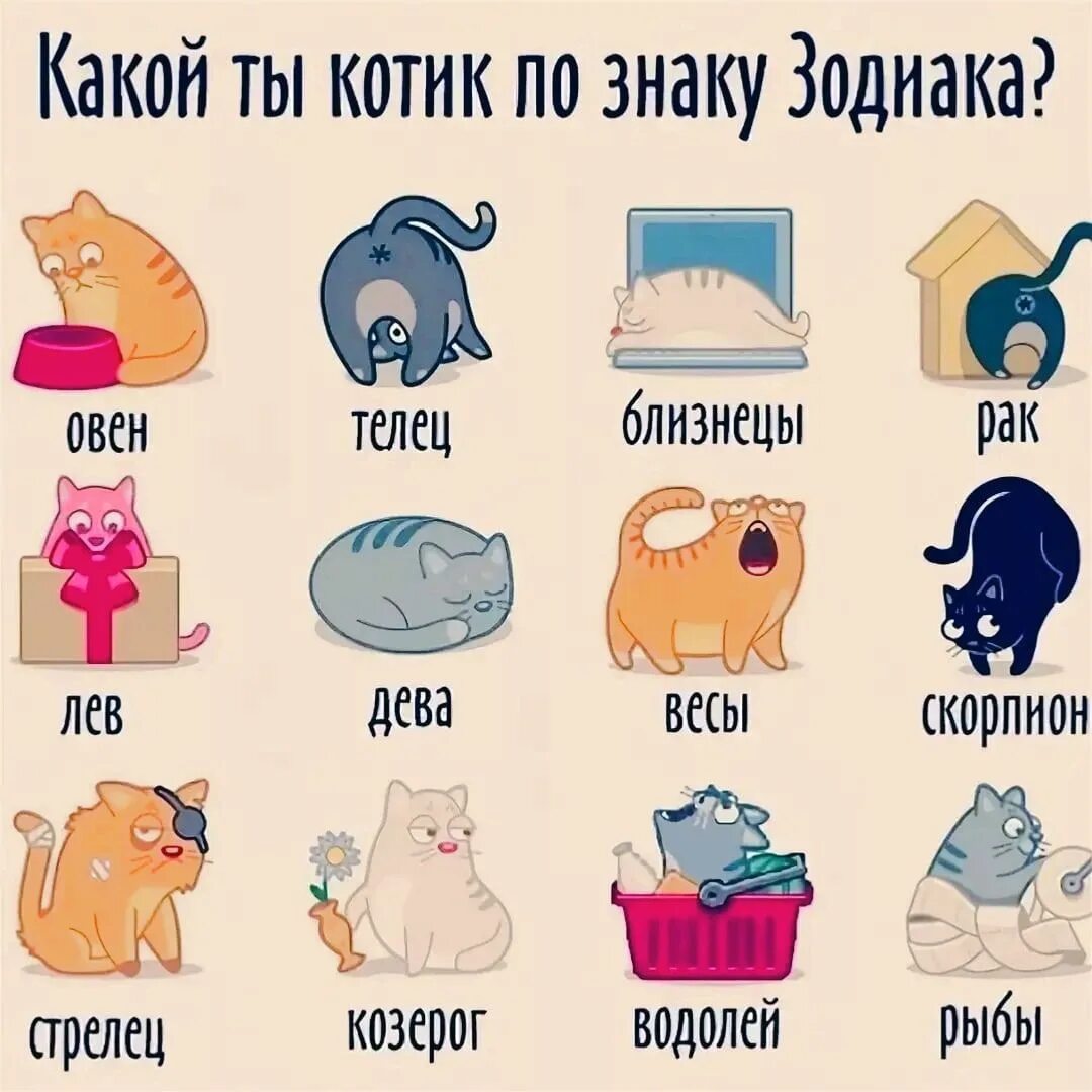 Тест какой тф