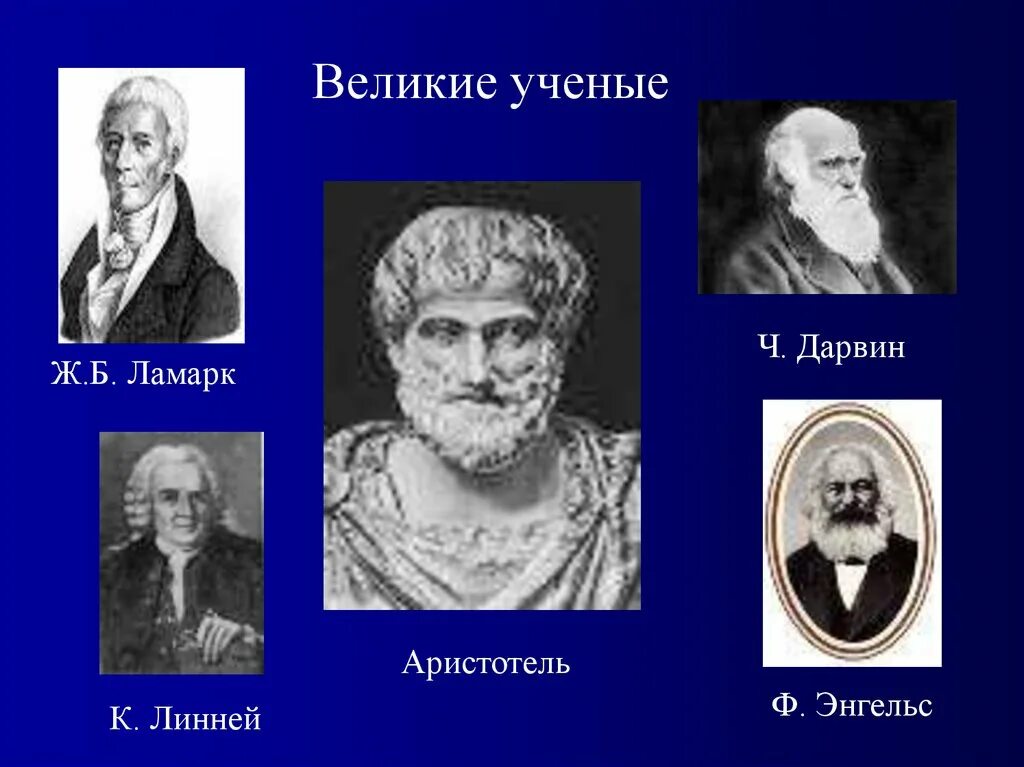 Аристотель ж б ламарк. Великие ученые. Великие естествоиспытатели. Аристотель Линней Ламарк. Портреты ученых естествоиспытателей.