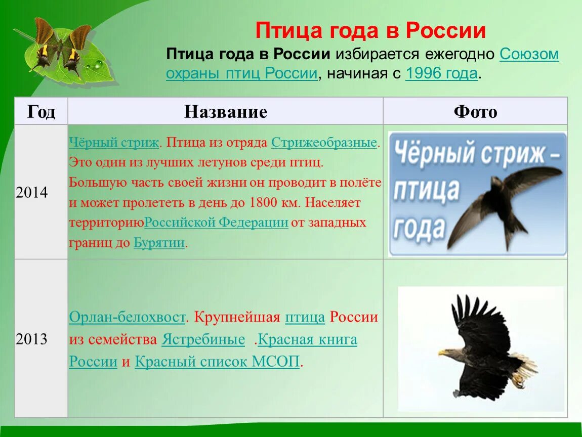 Союз охраны птиц россии птица года 2024. Птицы года в России. Птица года. Птицы года в России список. Птица года в России по годам.