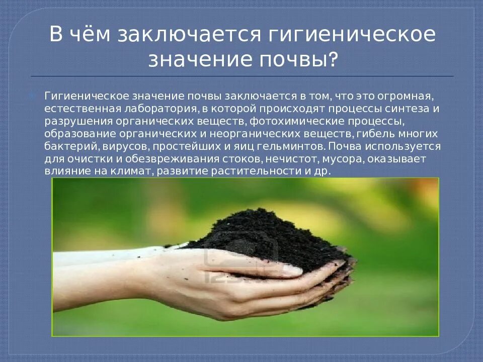 Земля почва значение. Гигиеническое значение почвы. в чем заключается гигиеническое значение почвы. в чём заключается гигиеническое значение почвы. гигиена почвы презентация.