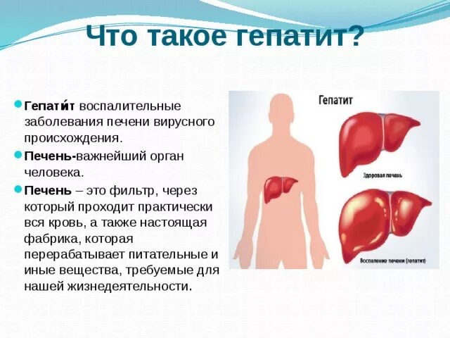 Что такое гепатит а простыми словами. Заболевания печени гепатит.