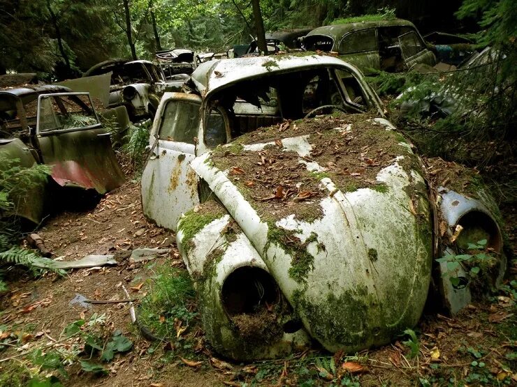 бросать предметы. блокада ленинграда 1941-1945 дети.