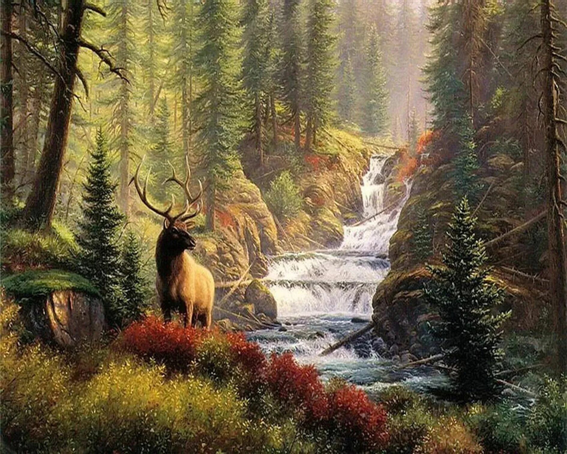 А4 24 в лесу