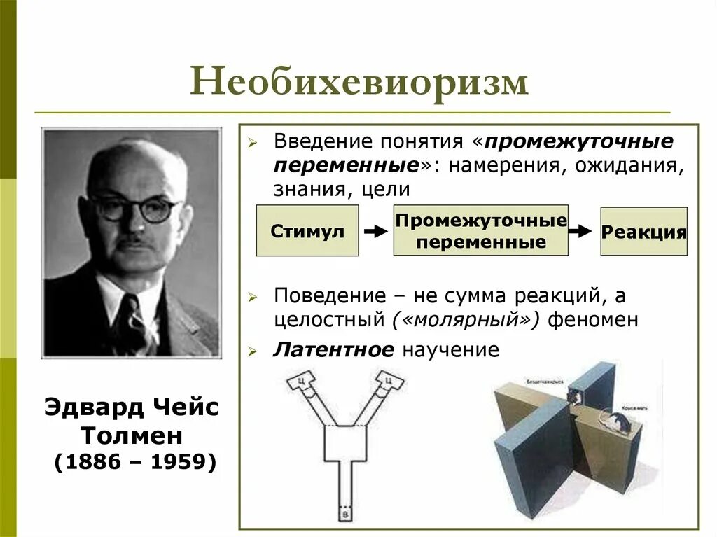 Научение в бихевиоризме. Толмен необихевиоризм. Необихевиоризм (э. Толмен, к. Халл) основные достижения. Скиннер необихевиоризм. Теория научения необихевиористов.