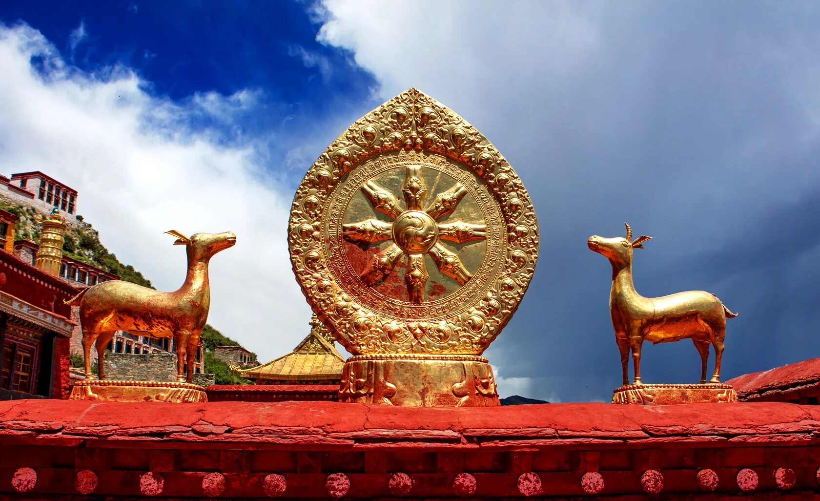 Колесо Дхармы (Дхармачакра). Колесо Дхармы Будды. Дхармачакра буддизм. Колесо Дхармачакра буддизм. Дхармачакра