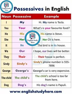 Example possessive