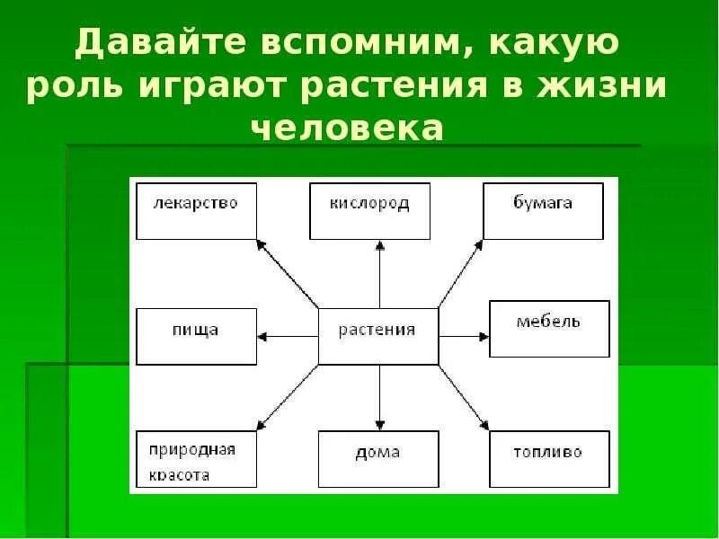 Биология 5 класс значение растений в природе. Роль растений в жизни человека. Роль растений в природе и для человека. Роль растений в природе и жизни человека. Значение растений в жизни человека.