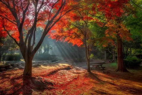 Fall 4