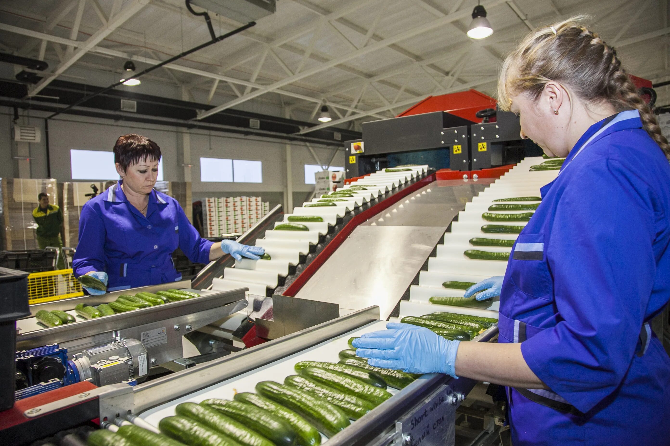 ооо хай лекс рус тольятти. брозе тольятти автомотив завод. вакансии тольятти женщина производство. рабочие места в подмосковье. нобель аутомотив тольятти.