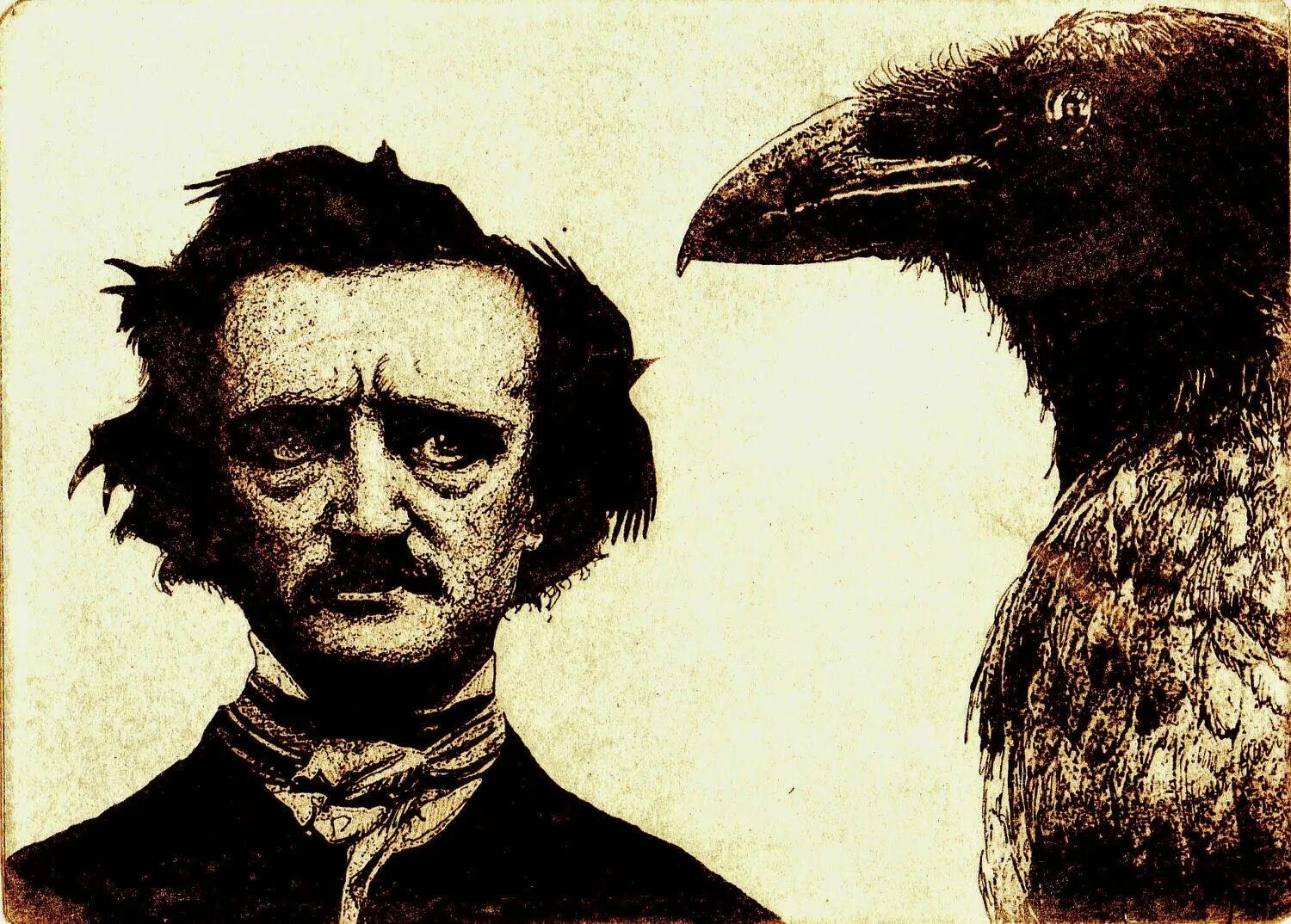 Raven poe. Edgar Allan POE.