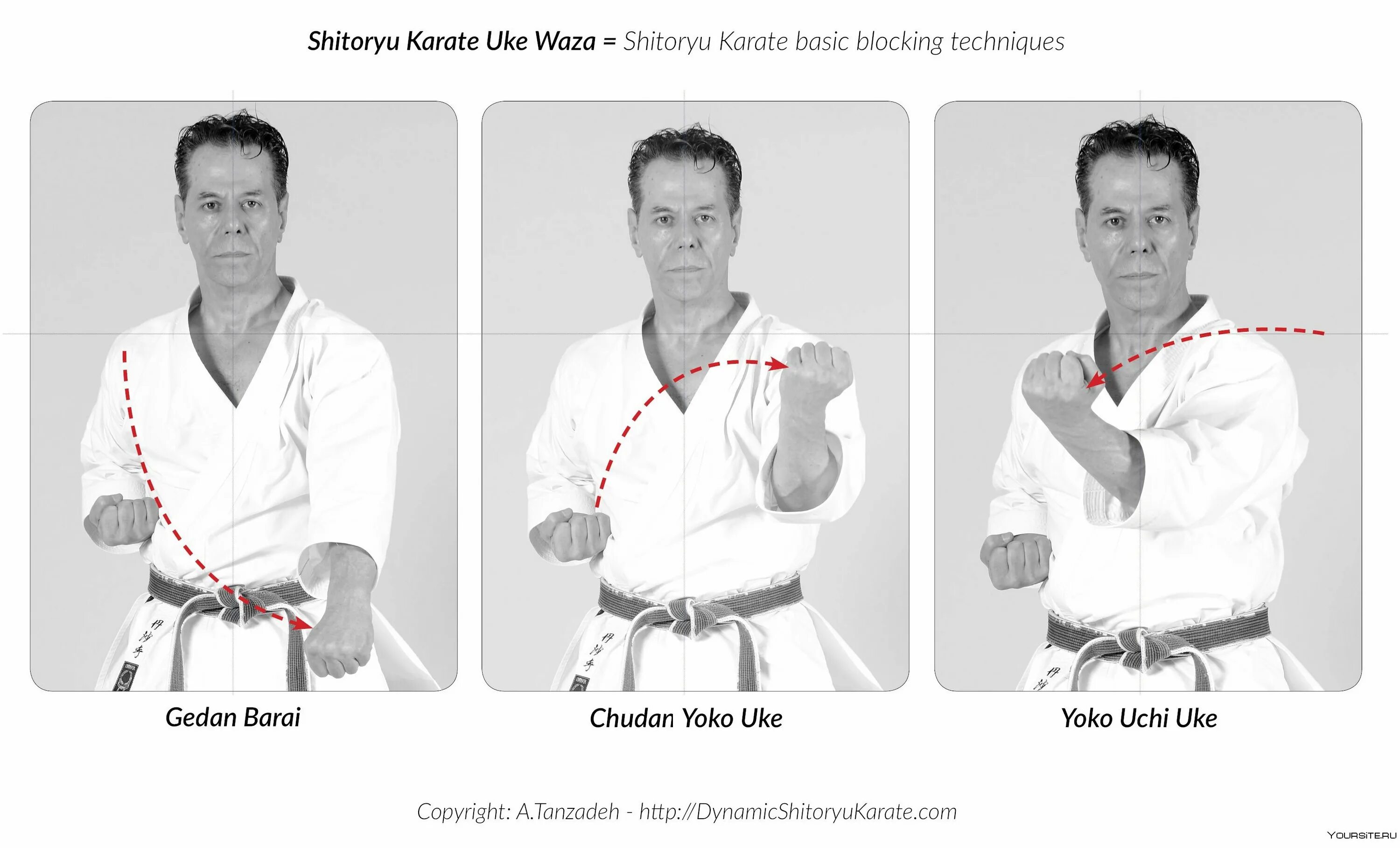 Низшее звено в карате. Кимоно черный пояс айкидо. Операция «чёрный пояс». Каратэ мужчины. Каратэ обои.