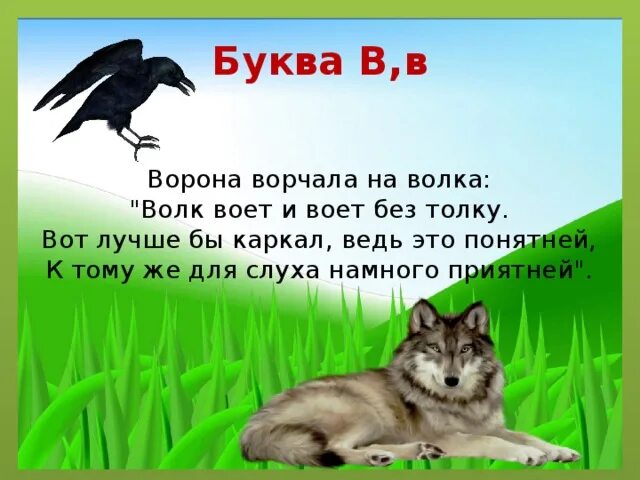 Буква в ворона. Волк ворчит. Буква ворон. Буква в волк.