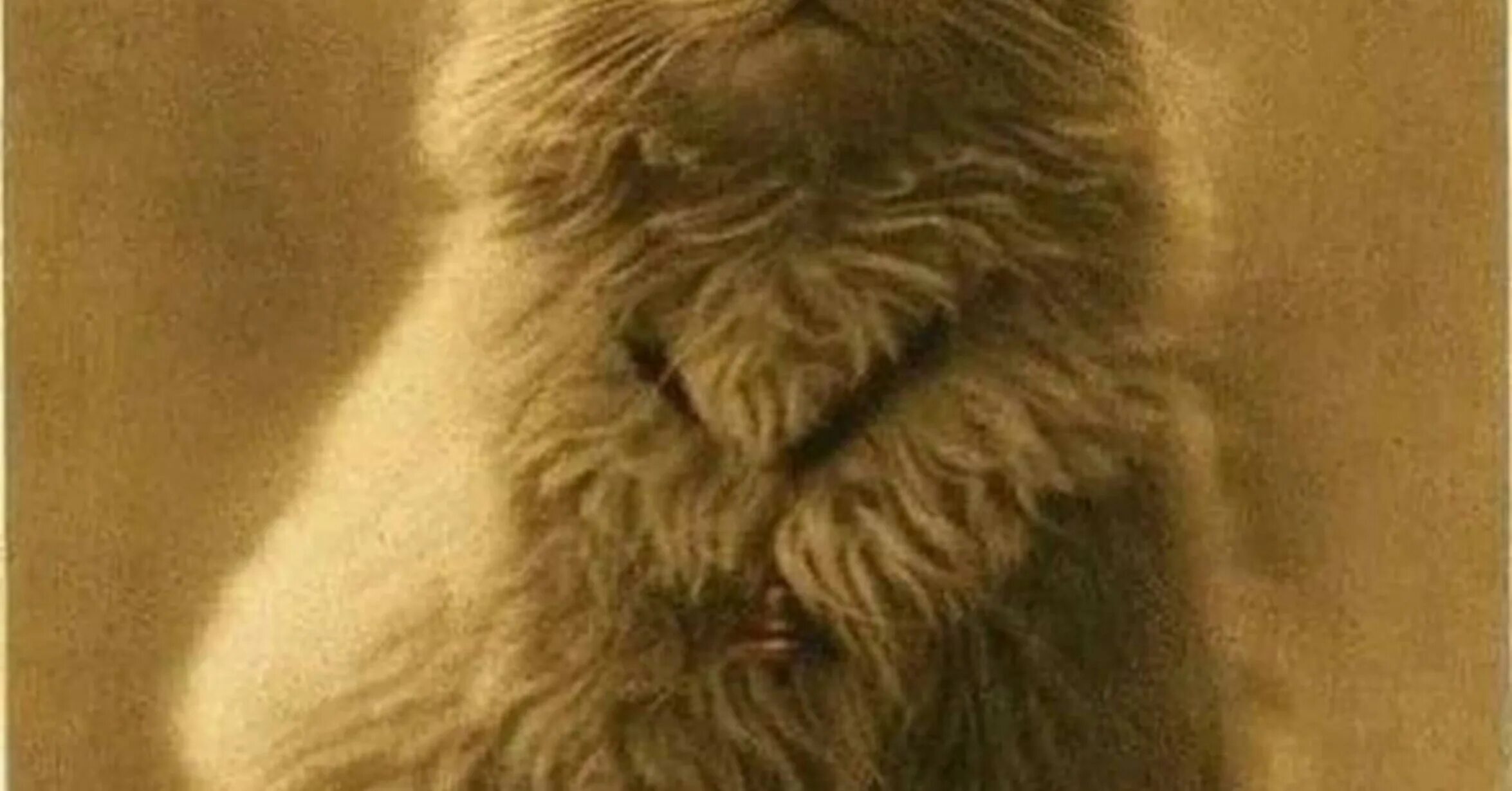 Как выглядел 1 кот. Первая фотография кота. первая фотография кота в мире. самый первый кот. самый первый кот в мире.