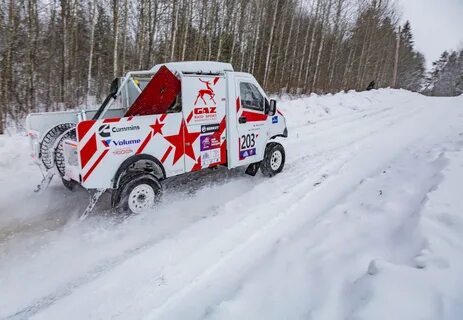 Баха северный лес