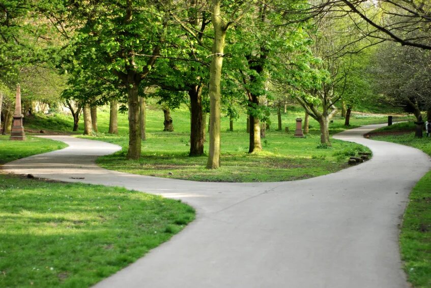 Forking paths. Forking paths