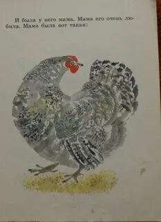 Чарушин курочка