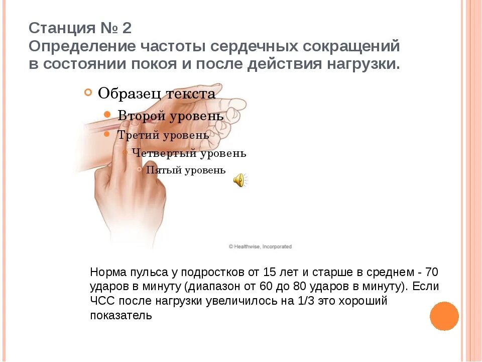 Измерение частоты ЧСС. Как измерить частоту пульса в покое. Измерить частоту сердечных сокращений. Как измерить частоту сердечных сокращений в покое. Как изменяется сила сердечных сокращений