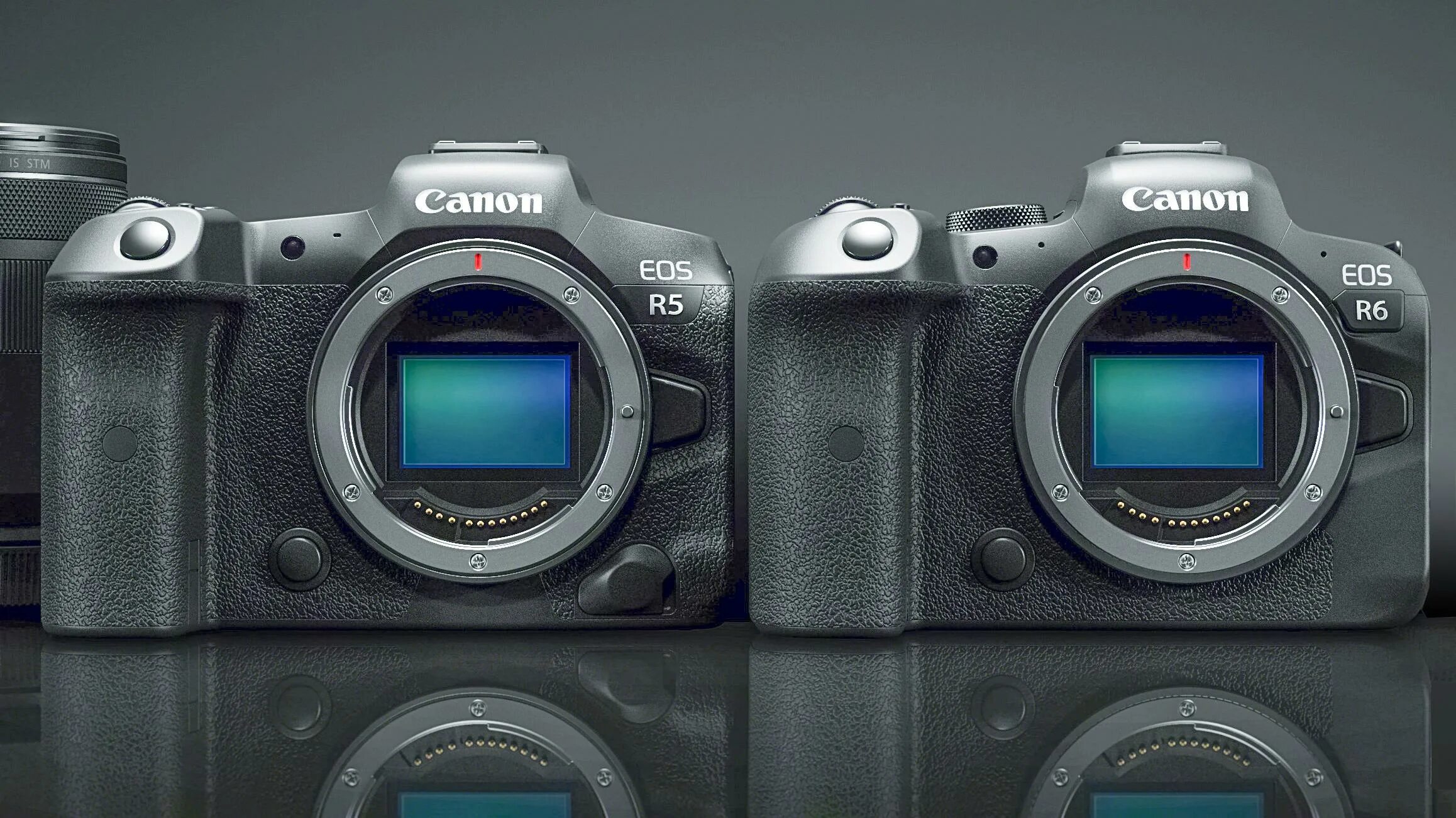 Vs eos. Canon eos r5. canon eos r6 ii. canon r5 r6. canon eos r6 mark ii.