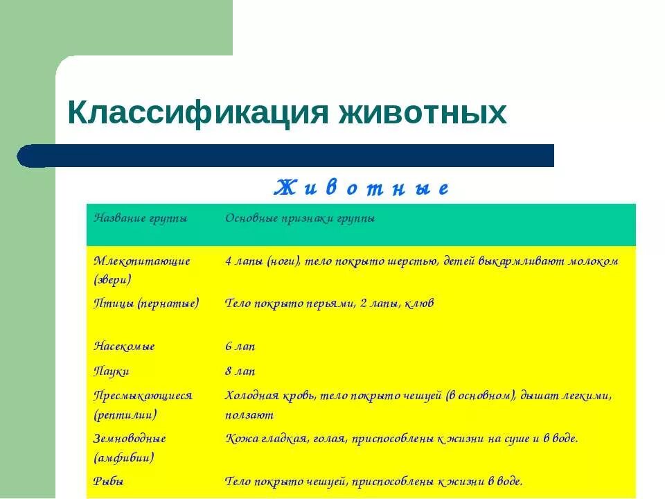 Таблица групп животных 3 класс. Классификация животных. Классификация живого. Классификация животных класс. Основные классы животных таблица.