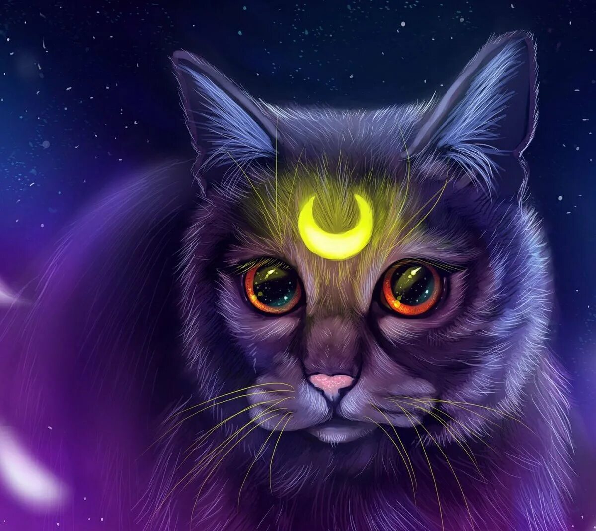Кот исполняющий желания. Фантастические коты. магический кот. магического кота который исполняет желания.
