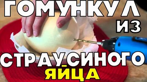 Как создать гомункула