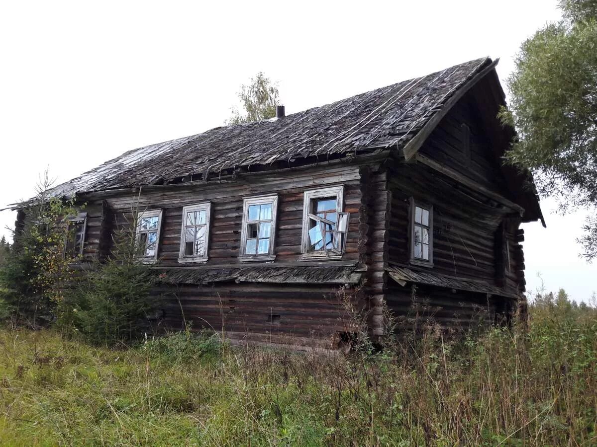 Авито старая новгородская область. Заброшенные деревни Крестецкого района Новгородской области. Деревня Тидворье в Новгородской области. Стряпово деревня Новгородская область. Заброшенные деревни Новгородской области Марёвский район.