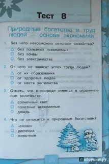 Вопросы для 3 класса по окружающему миру
