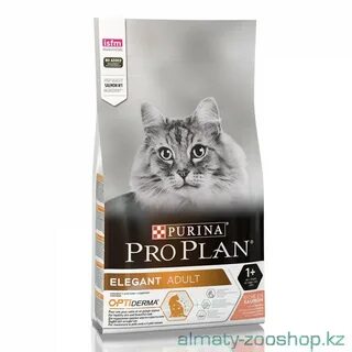 Корм для кунов котят