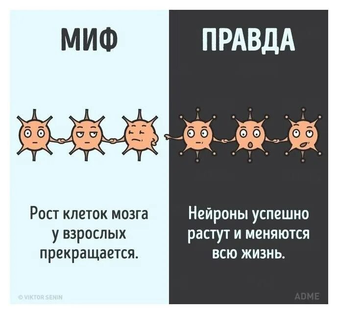 Как росла и менялась