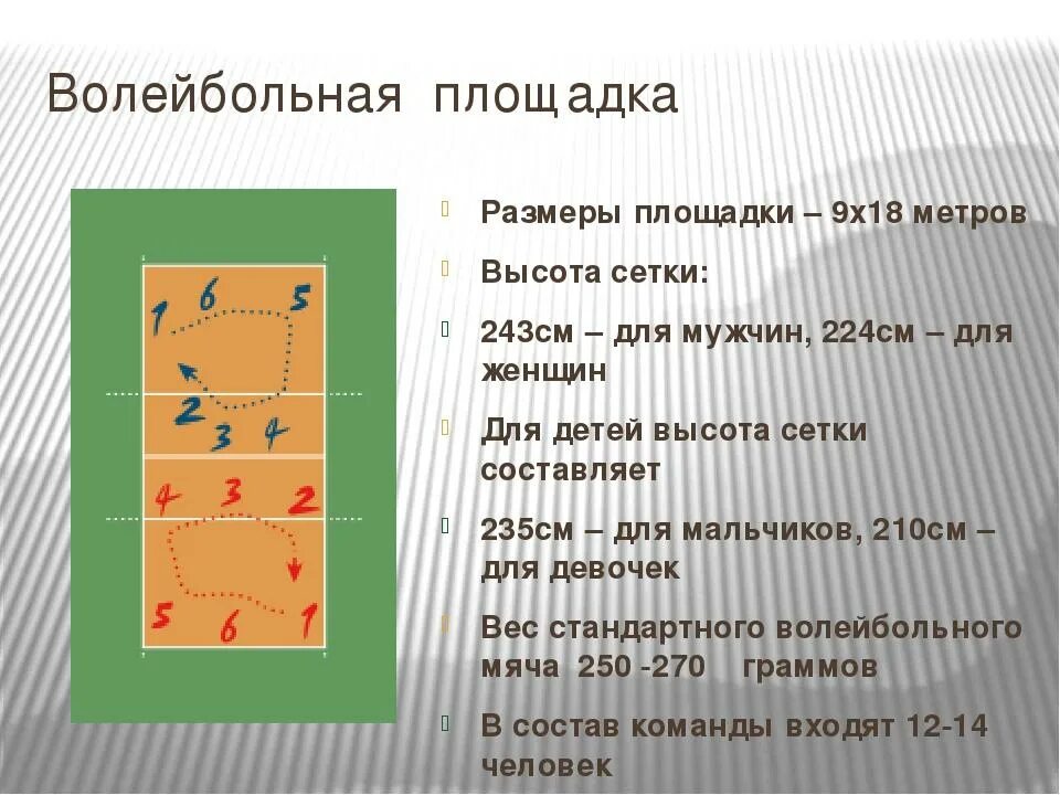 Линии волейбольной площадки. Зоны игрового поля в волейболе. Площадка для волейбола Размеры. Волейбольная площадка с разметкой и линиями. Правила игры линии